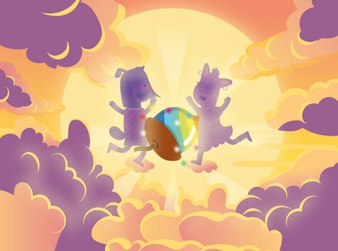 The search for the magical seeds